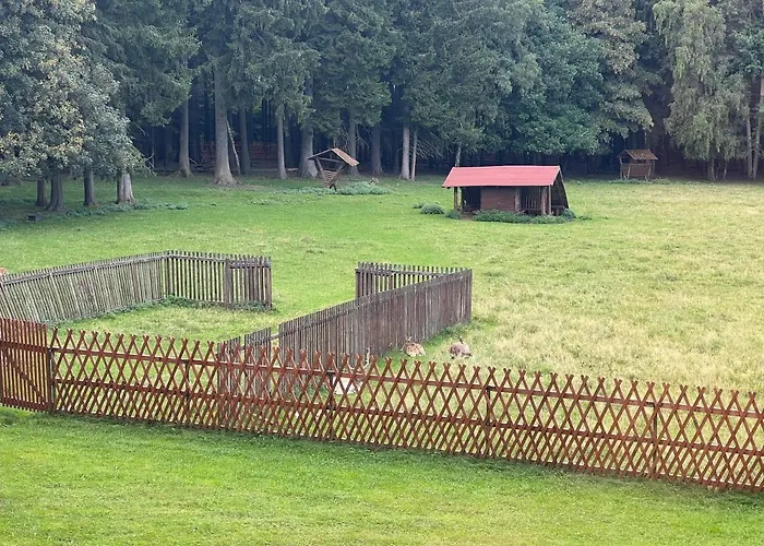 ゲストハウス Berolina 3*