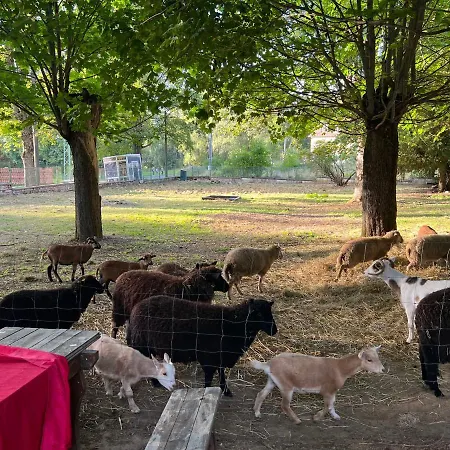 Guest house Berolina 3*