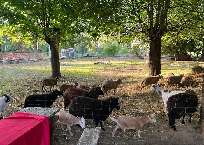 Pensjonat Berolina 3*